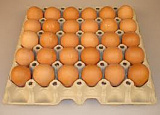Яйцо куриное С1 10 шт. 
